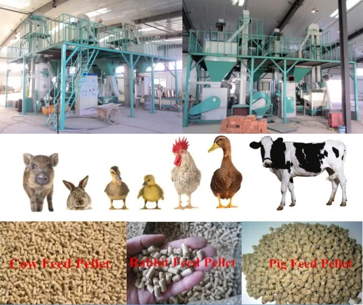 1000-2000kg/H Alfalfa Grains Feed Pellet Production Line for Cow, Horse, Camel