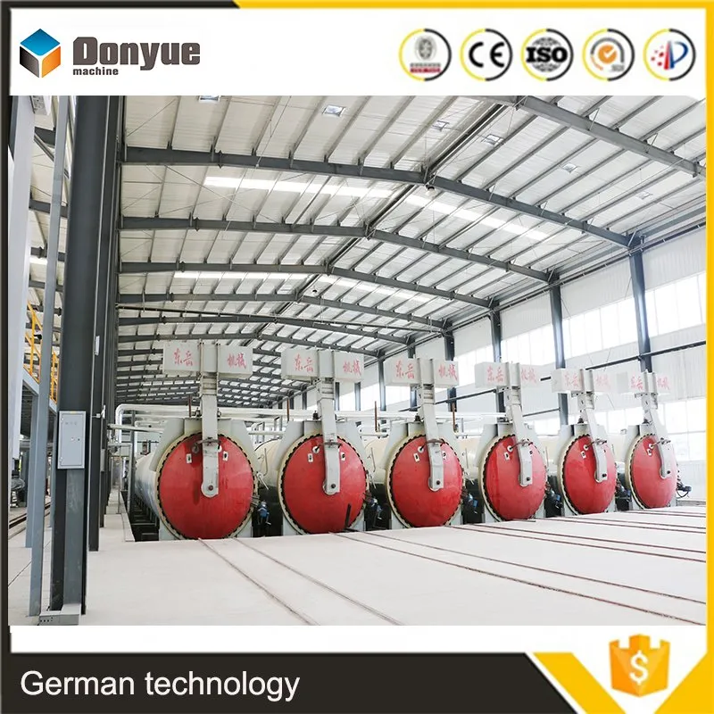 50000-300000m3 AAC Plant Autoclave