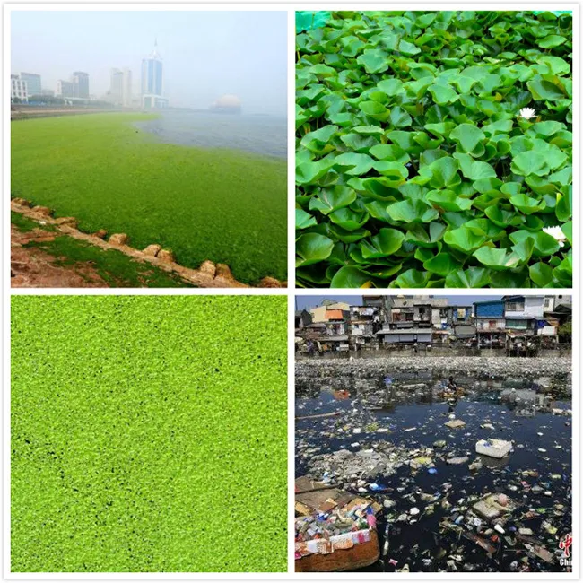 Aquatic Seaweed Harvester/River Cleaning Small Boat/Floating Garbage Collecting Machine