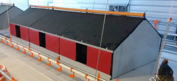 Automatic Egg Collecting Nest for Layers From Factory