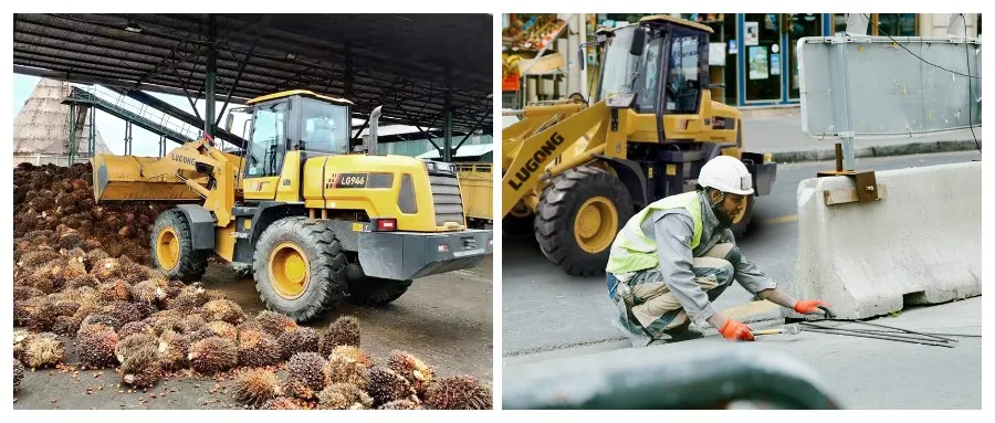 Best Quality Construction Machinery Mechanical Single Loaders with Option for Sugarcane