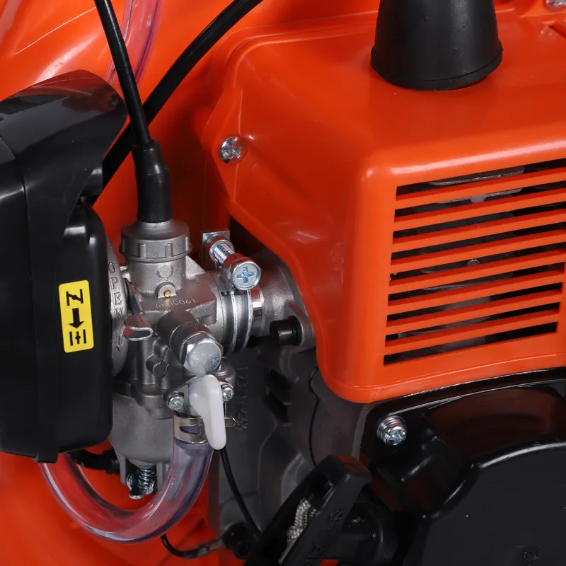 Big Capacity of Orchard, Greenhouse, Farm Using Knapsack Gasoline Engine Power Sprayer