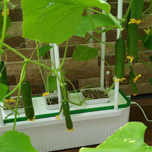 Big Smart 7L Hydroponic Indoor Farm Machinery