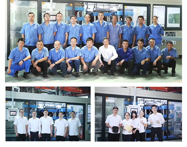 Cheap PE/PP Sheet Extrusion Extruder Machine Sheet Making Machine/Making Disposable Plastic Lunch Box Machine