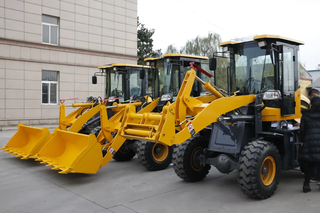 China Brand Luqing CE Compact Mini Cheap Price Small Zl920 Lq920 L20 Wheel Loader 2ton for Sale in German Norway Finland and Sweden