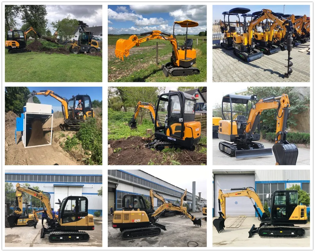 China We12 Small Track Excavator Mini Digger with High-Performance Japanese Engine