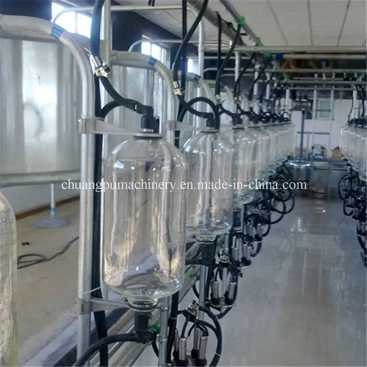 Cow Milking Parlour for Milking of Cow Farm Equipment