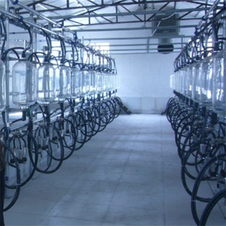 Cow Milking Parlour for Milking of Cow Farm Equipment