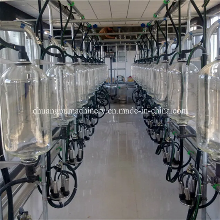 Cow Milking Parlour for Milking of Cow Farm Equipment