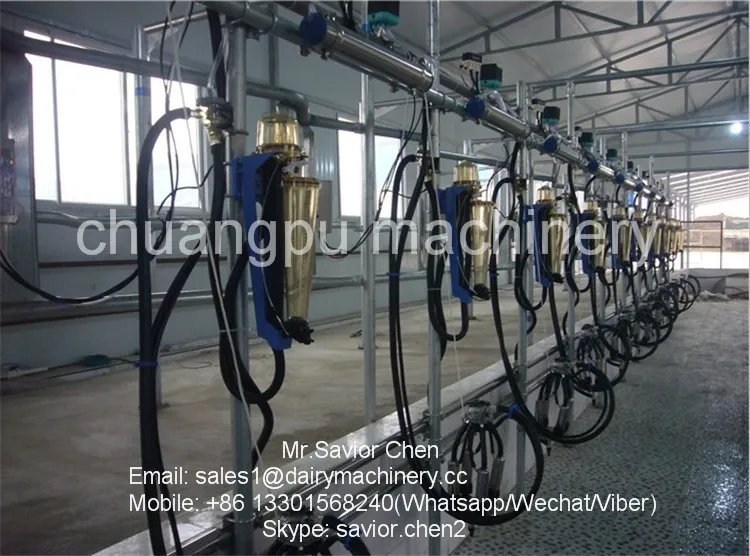Dairy Farm Cow Milking System