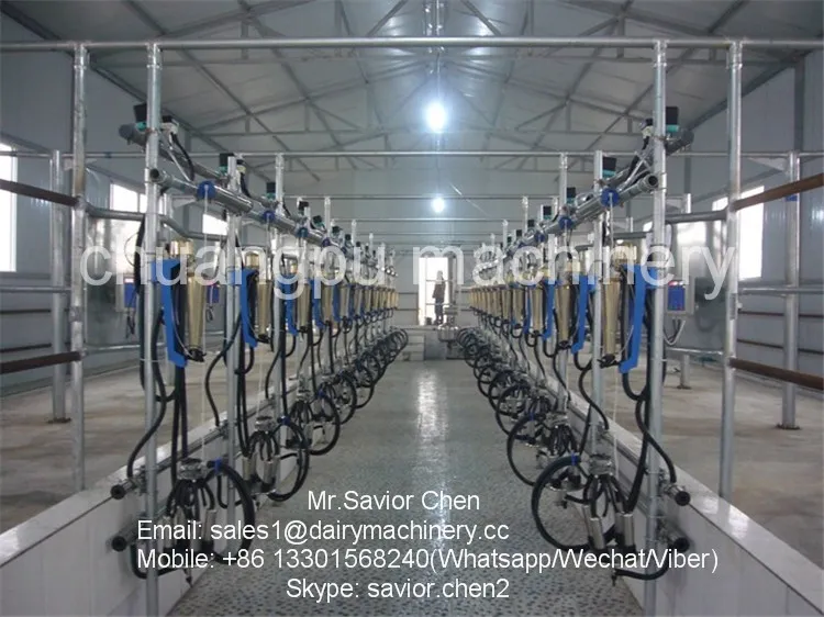 Dairy Farm Cow Milking System