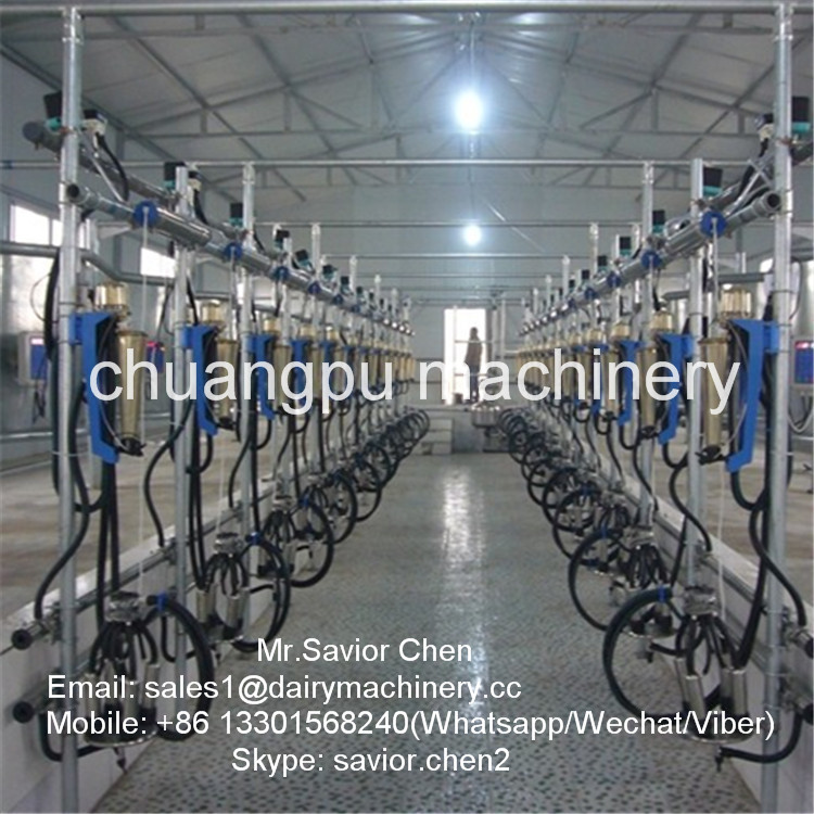 Dairy Farm Cow Milking System