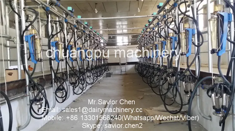 Dairy Farm Cow Milking System