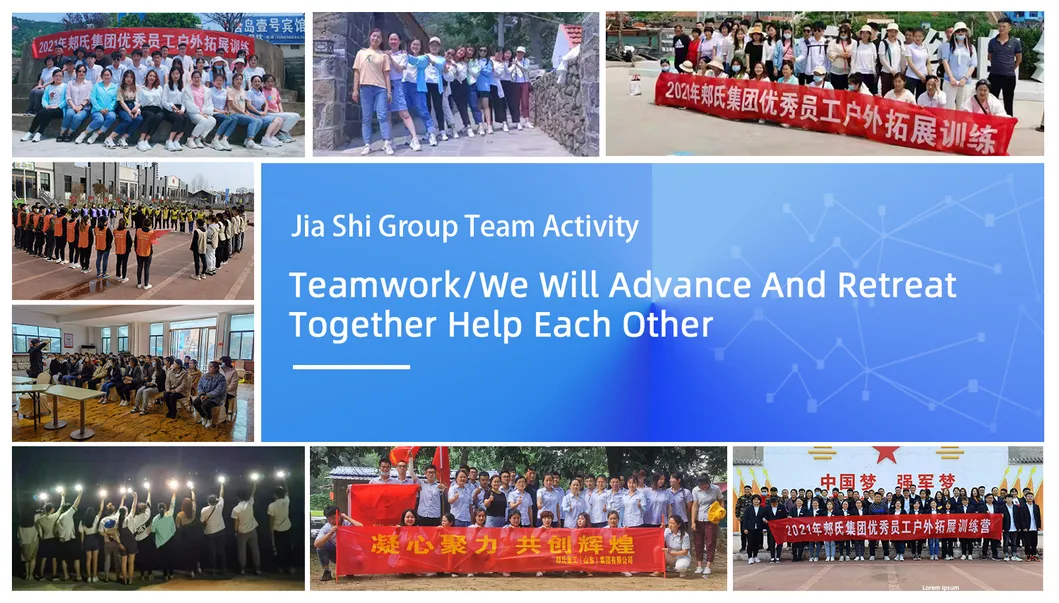 Electric 60kn, 80kg Construction Machinery Tamping Rammer