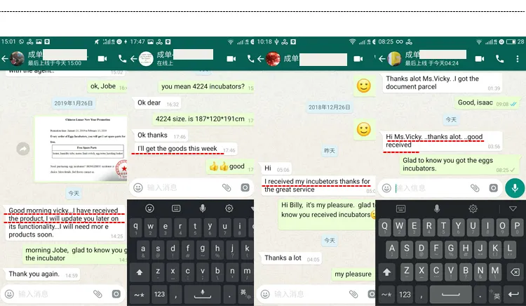 Electrica Medium Thermostat Laboratory Incubator 5280