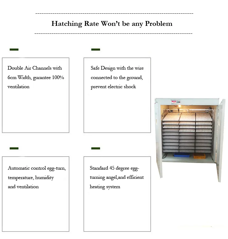 Electrica Medium Thermostat Laboratory Incubator 5280