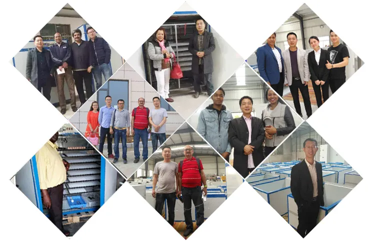 Emu Test Tube 5280 Eggs Incubator Heating Plate