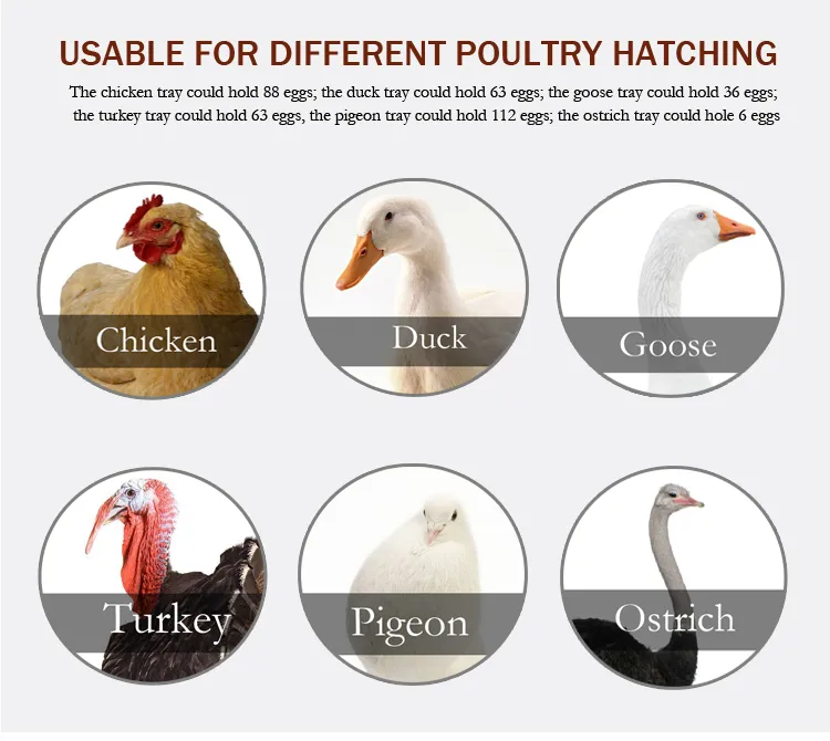 Emu Test Tube 5280 Eggs Incubator Heating Plate