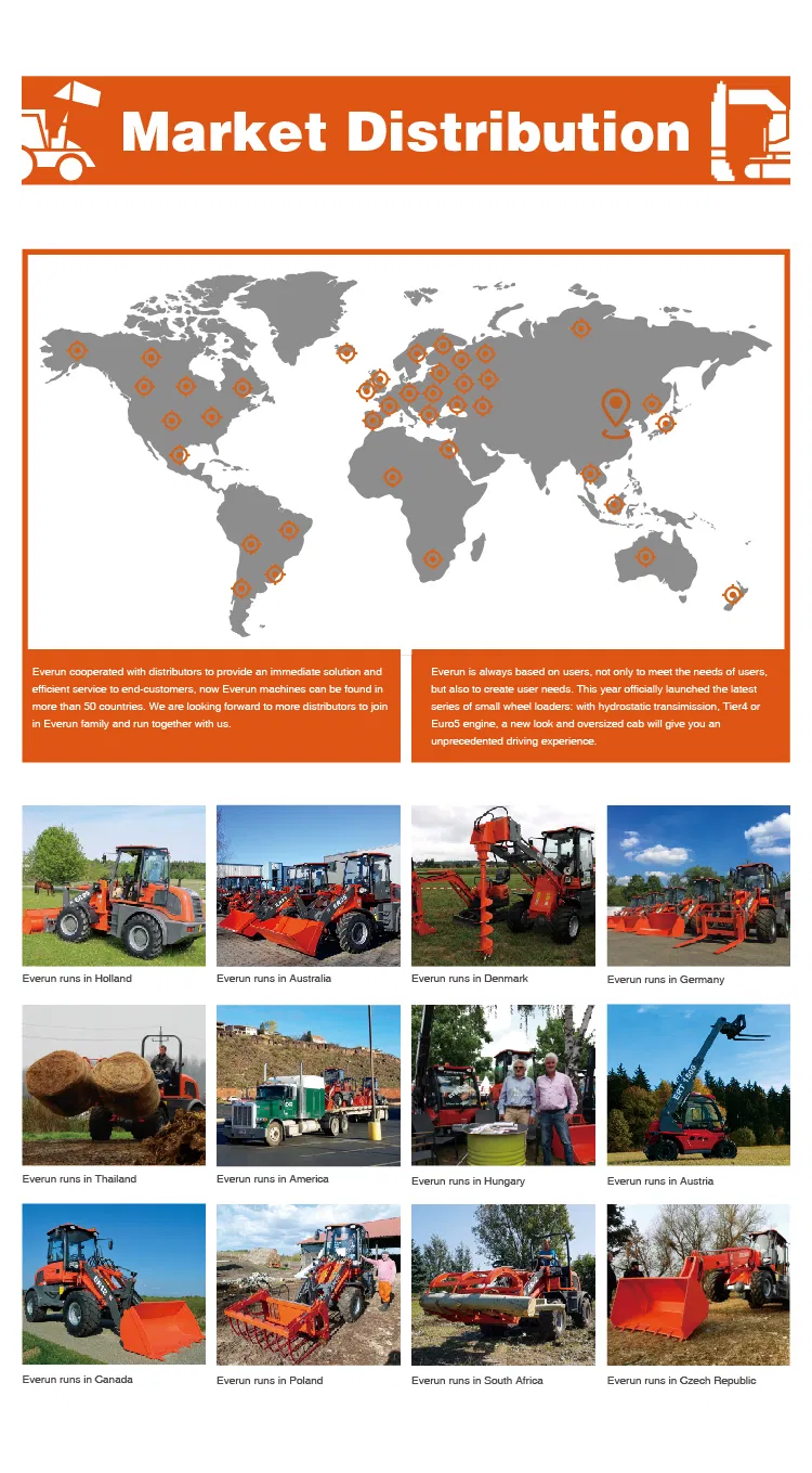 Everun Er1000 1ton CE Hydraulic Tier4 Engine Mini Loader Wheel Loader