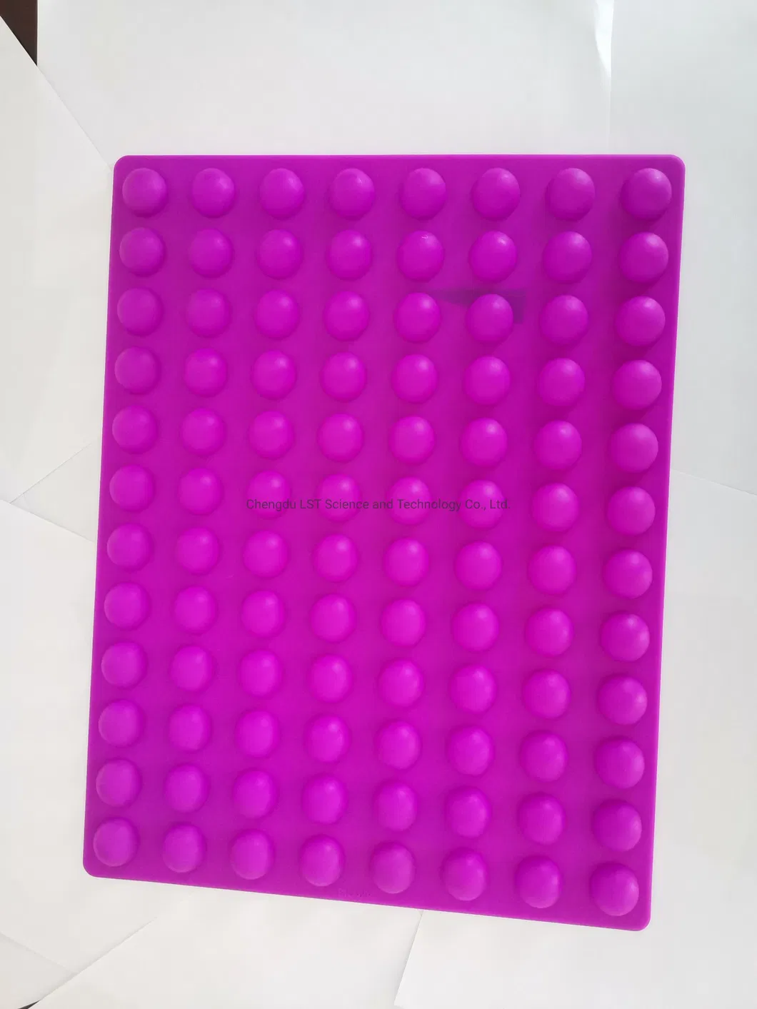 Factory Price Home Use Brand Plastic Mold Large Round Chocolate Molds