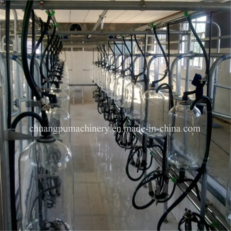 Farm Milking Parlour for Dairy Farm Milking Equipment