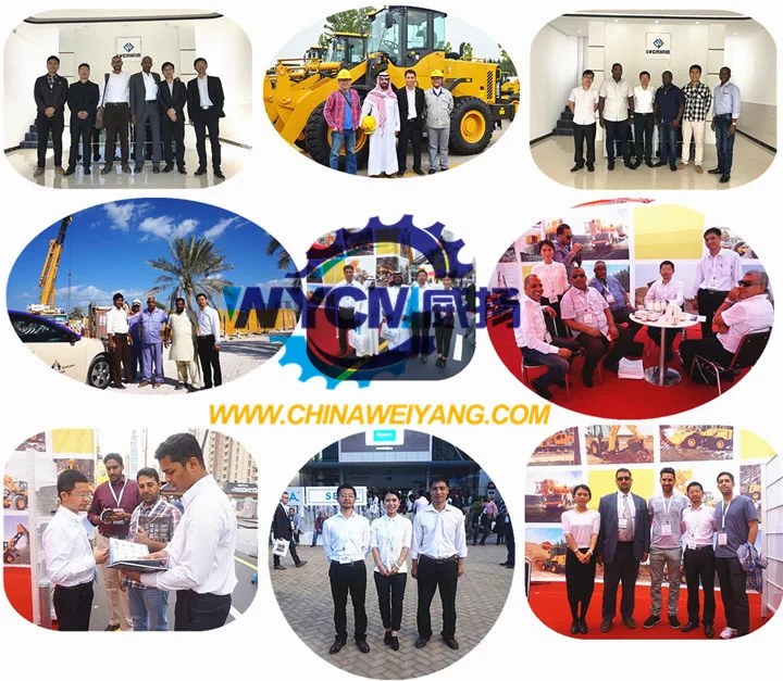 Genuine Zf 4wg200 Transmission Spare Parts 075118200 Gear for Sale in Good Price