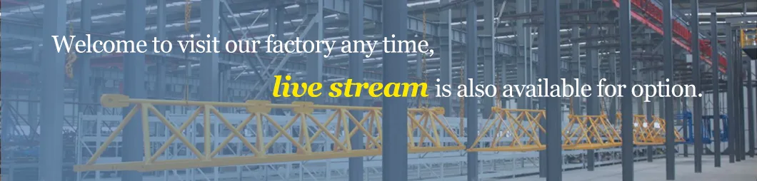 Gjj Sc200/200 Passenger Hoist Counter Roller for Sale