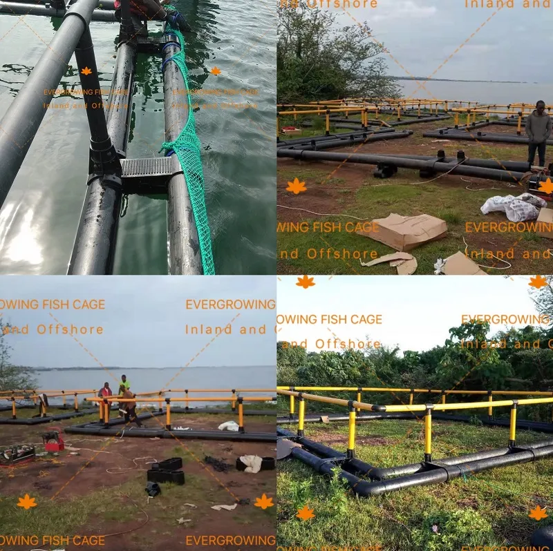 HDPE Fish Cage for Aquaculture Farming Square Net Cages 6mx6m / 5mx5m / 4mx4m