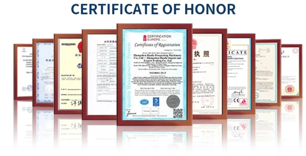 Hf330 Crawler Hydraulic Rotary Drill/Drilling Rig for Foundation Engineering