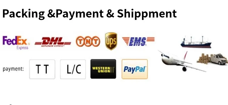 High Grade CNC Router 4.5kw Spindle Motor with Flange Air Cooled Er 32