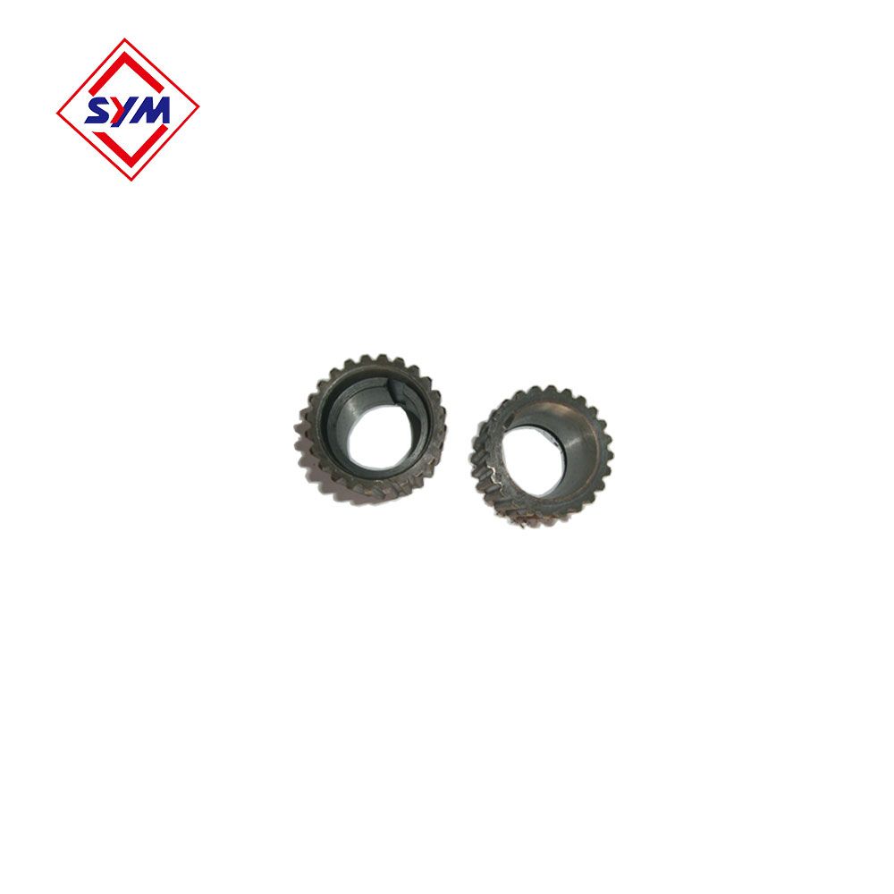 High Quality Rcs Mechanism Hoist Motor 19.38.99 Pinion for Tower Crane