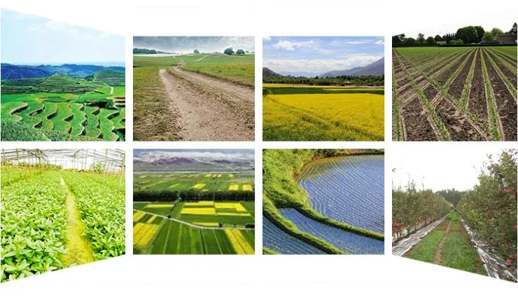 High Quality Vegetable Seed Planter Carrot Seeder Seeders Transplanters Seeders for Tractors