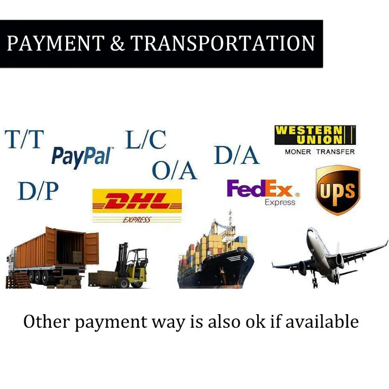 Hyundai R200 R210 R290 R320 Carrier Roller for Excavator Parts