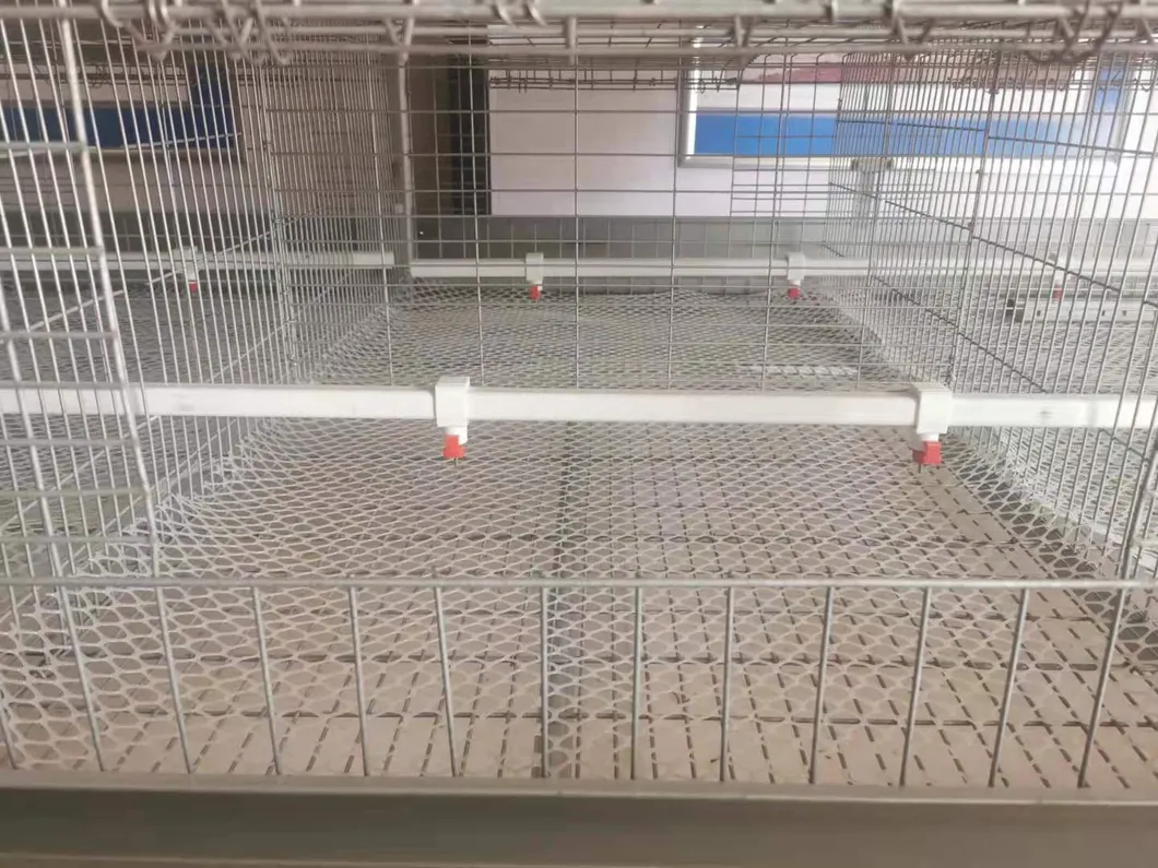 Layer Cage Best Quanlity Hot Sale Chicken Equipments Hot Galvanized Wiremeshes