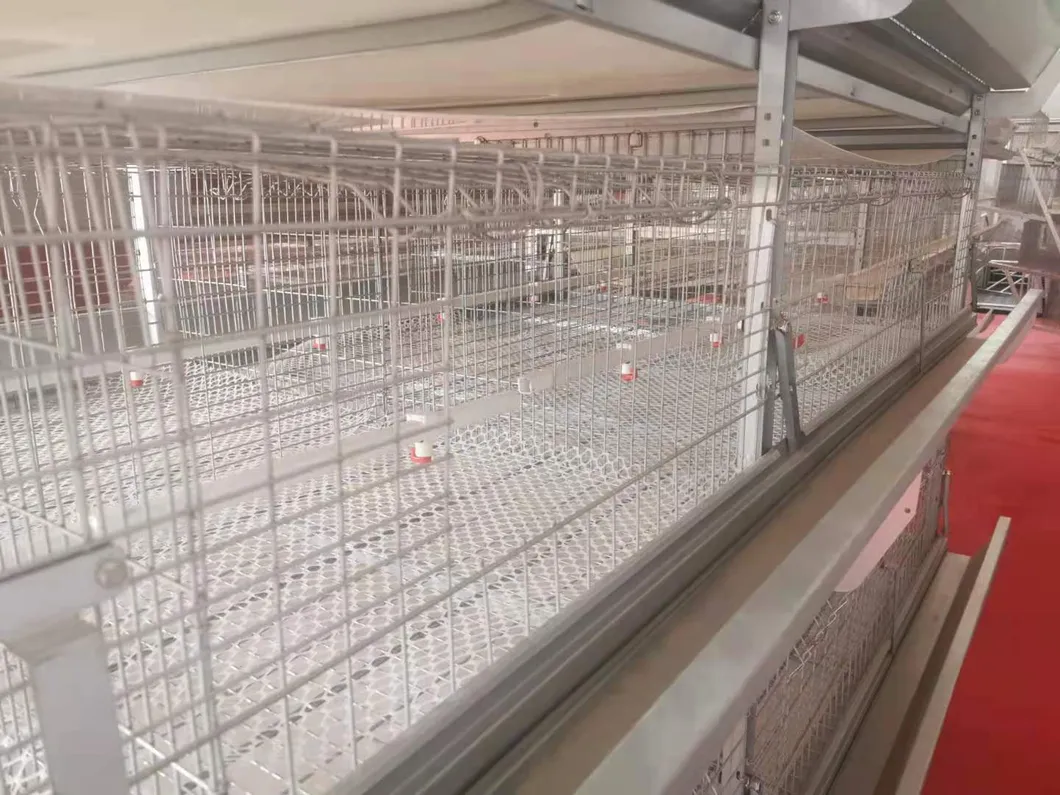 Layer Cage Best Quanlity Hot Sale Chicken Equipments Hot Galvanized Wiremeshes