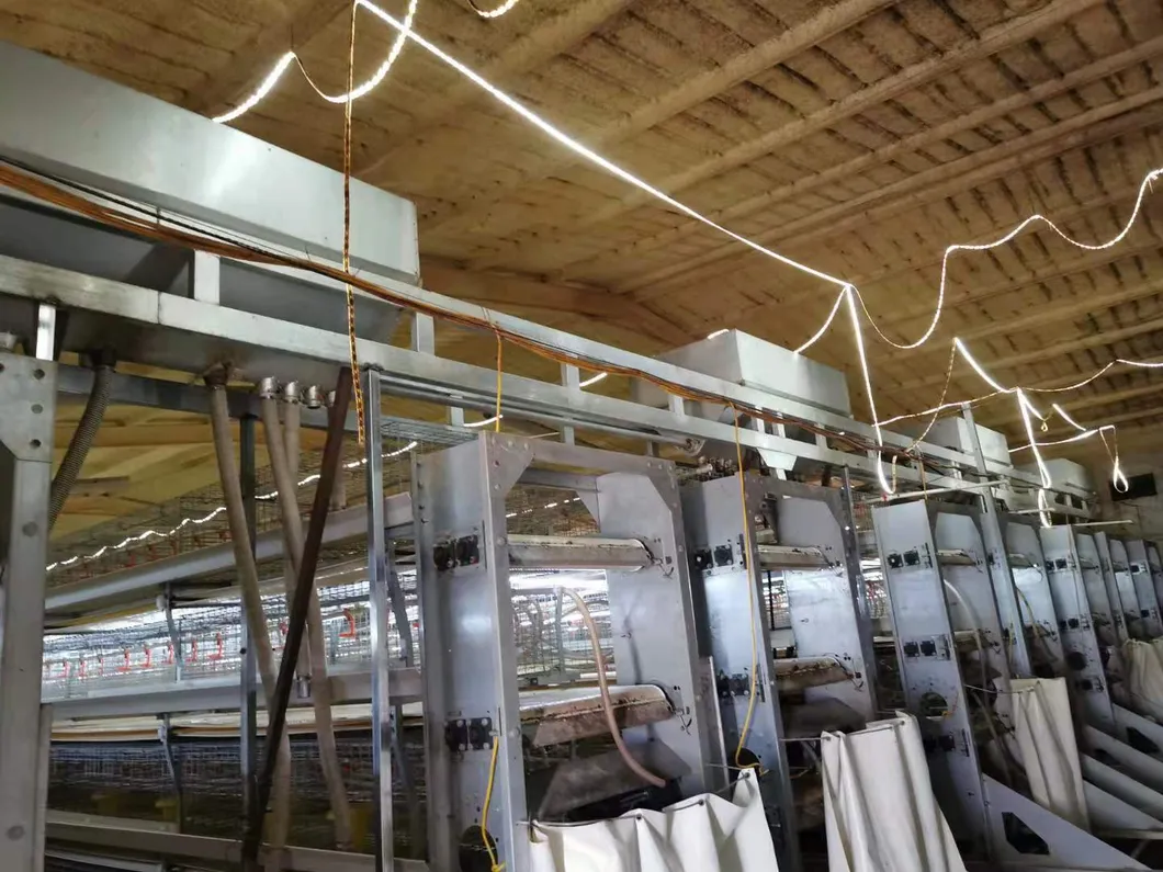 Layer Cage Best Quanlity Hot Sale Chicken Equipments Hot Galvanized Wiremeshes