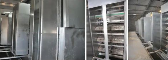 Layer Chicken Cage for Chicken Farm