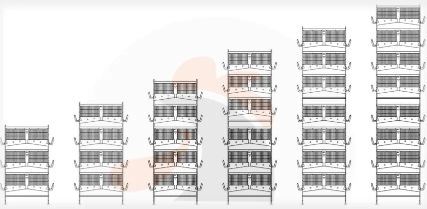 Layer Chicken Cage for Chicken Farm