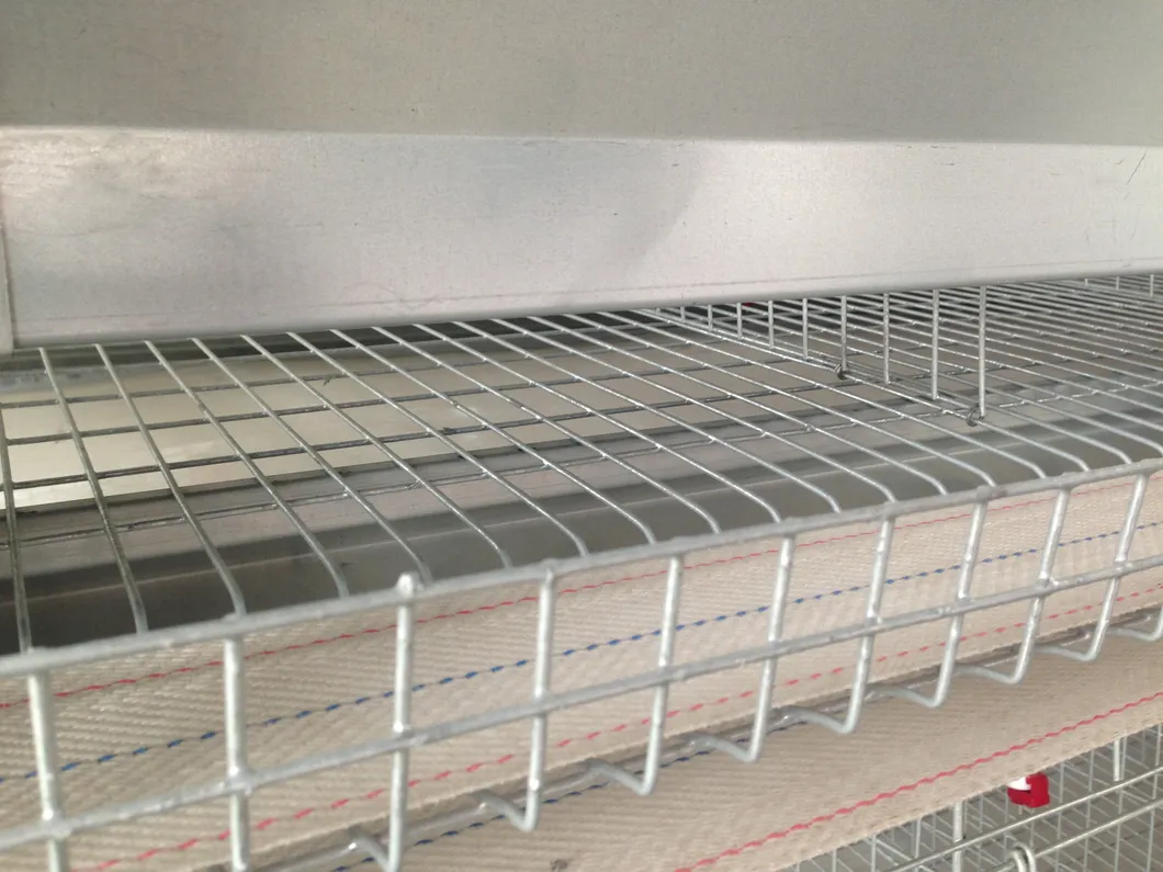 Layer Chicken Cage for Chicken Farm