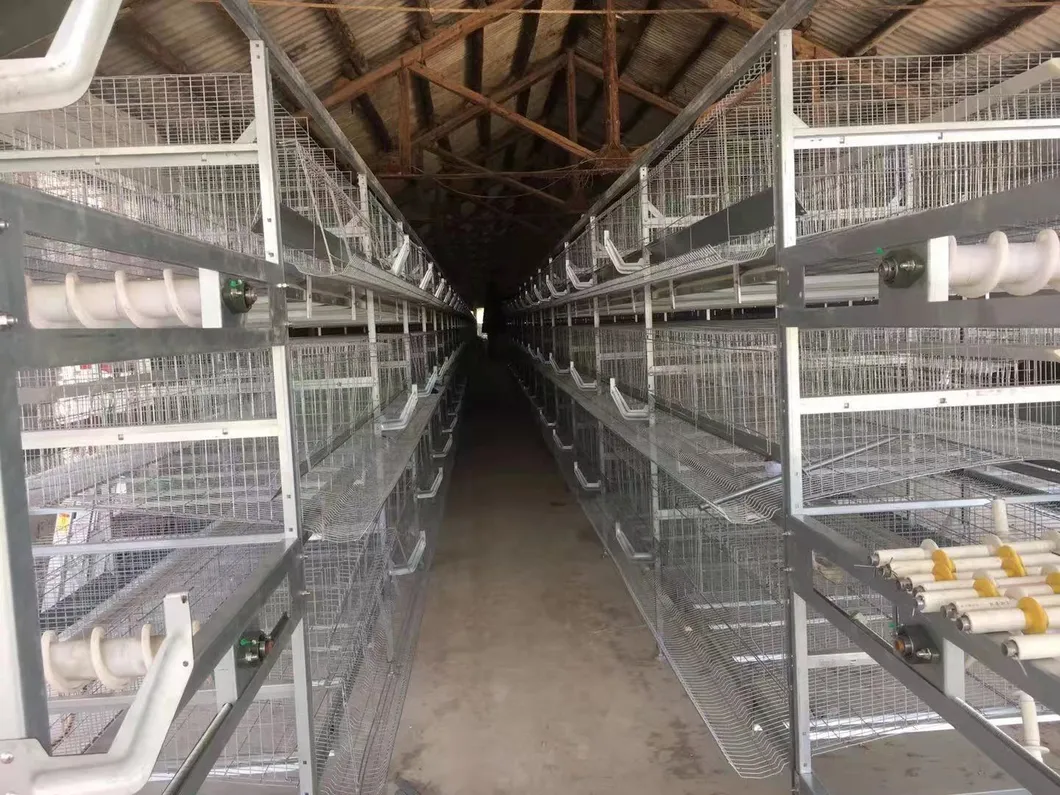 Layers Good Price Cage New Degsin for Poultry Farm Machine Hot Galvanized Wiremeshes