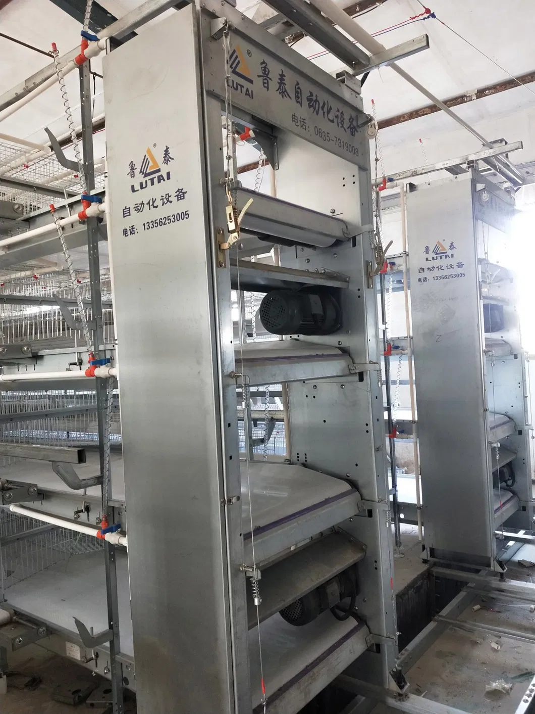 Layers Good Price Cage New Degsin for Poultry Farm Machine Hot Galvanized Wiremeshes