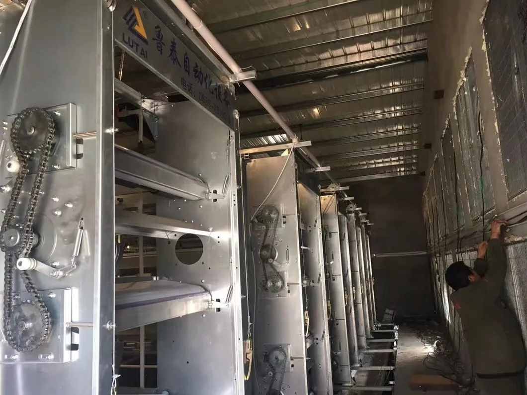 Layers Good Price Cage New Degsin for Poultry Farm Machine Hot Galvanized Wiremeshes