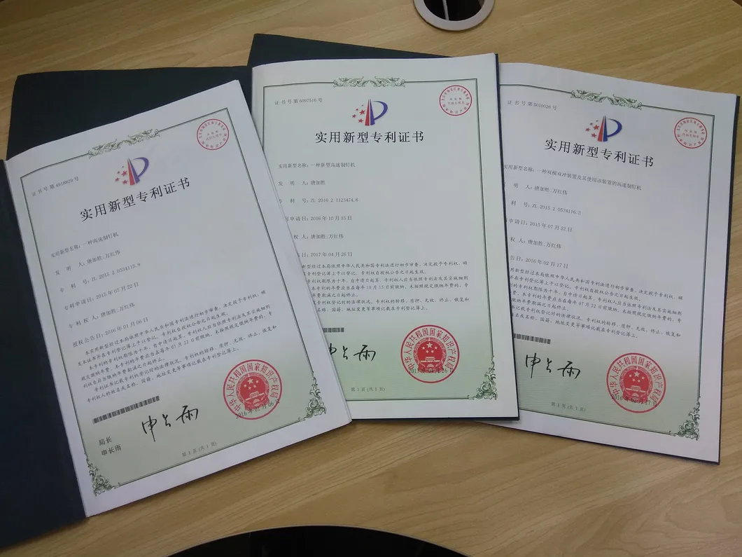 Manufacturer of Wire Nails with Stainless Steel Finish Nail Making Machine