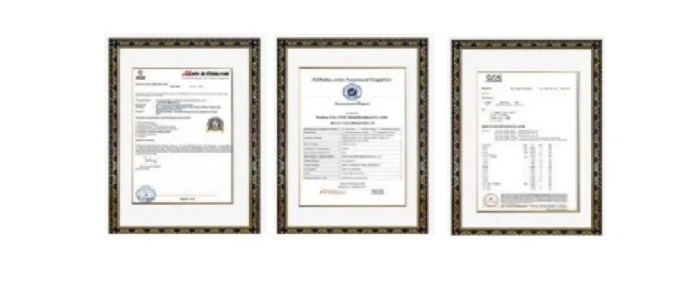 Mould Precision Connector Mould/ Mould Part/Stamping Die Part