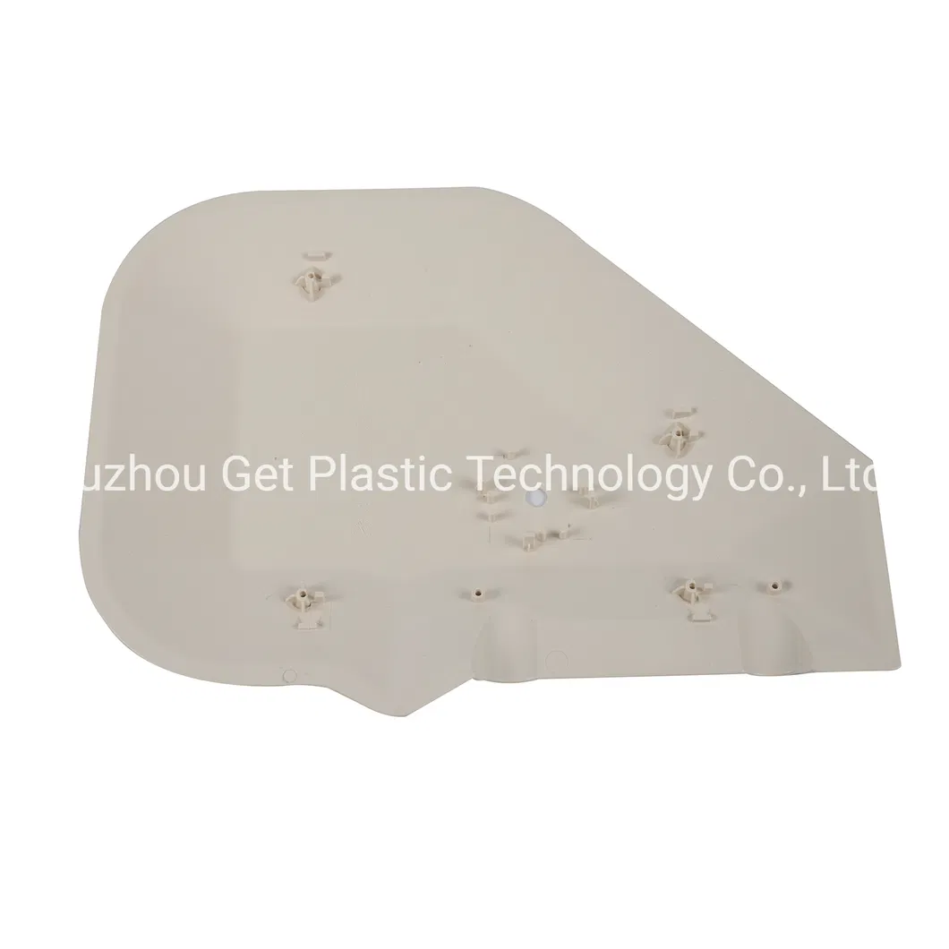 OEM Professional Customized Plastic Injection Mould /Mold
