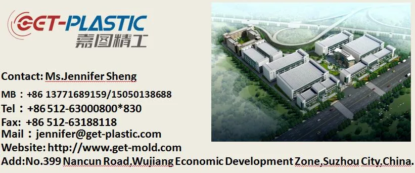 OEM Professional Customized Plastic Injection Mould /Mold
