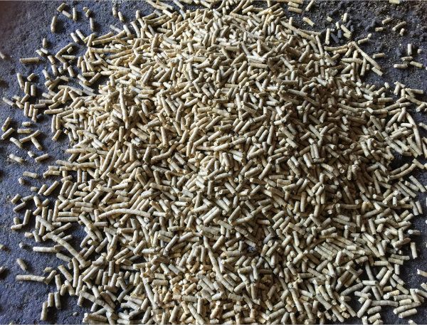 Pellet Feed Mill Flat Die Home Use