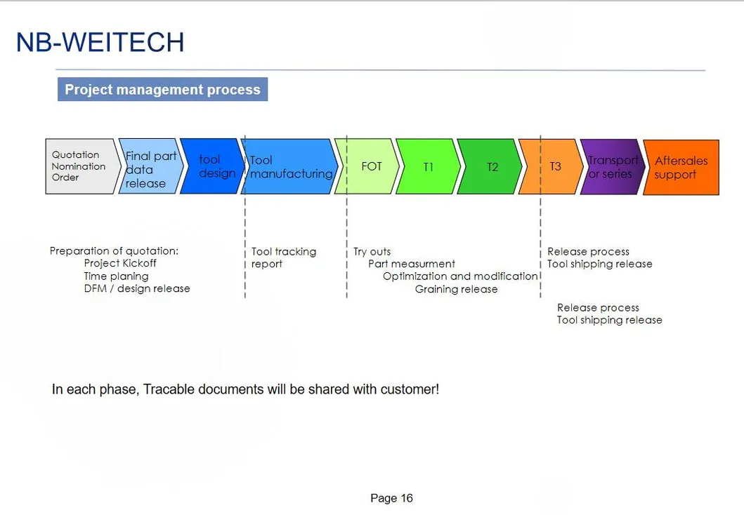Plastic Injection Tooling for Auto Functional Part PA6 Cover
