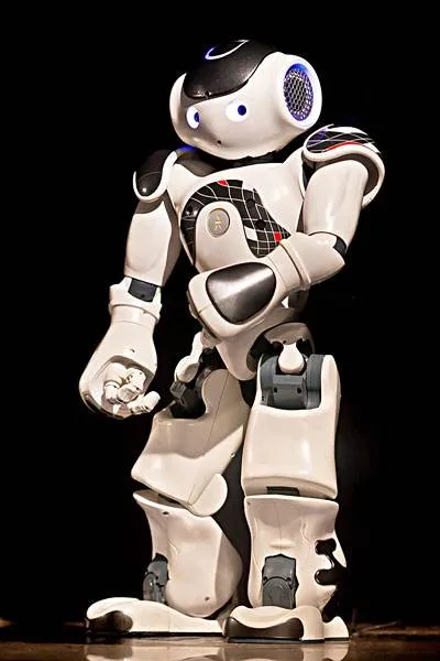 Plastic Mould for Robot