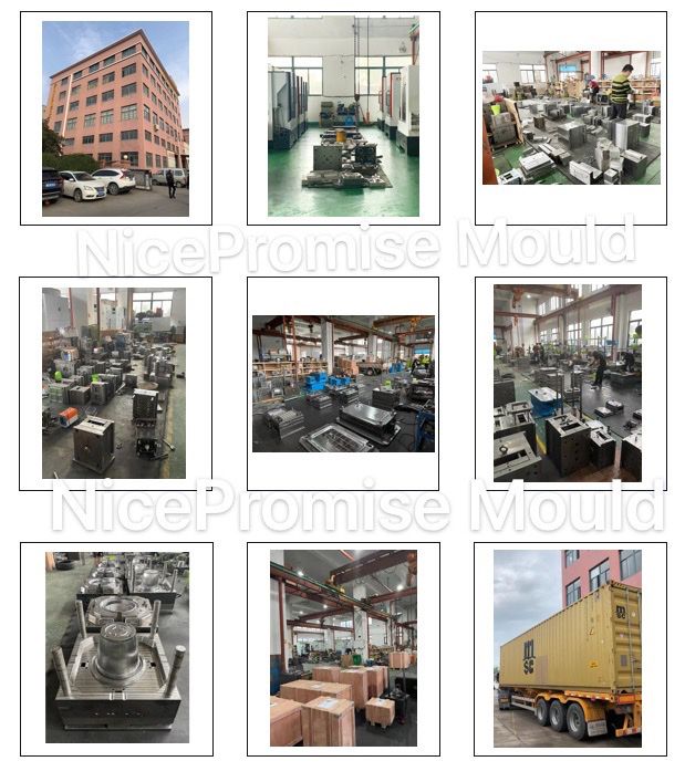 Plastic Packaging Refrigerator Storage Box Food Container Lunch Box Injection Mould